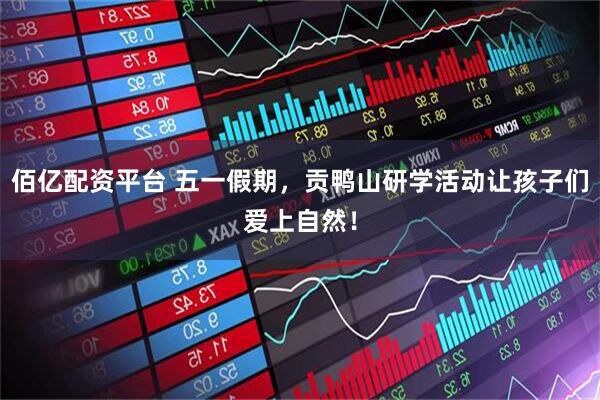 佰亿配资平台 五一假期，贡鸭山研学活动让孩子们爱上自然！