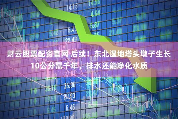 财云股票配资官网 后续！东北湿地塔头墩子生长10公分需千年，排水还能净化水质
